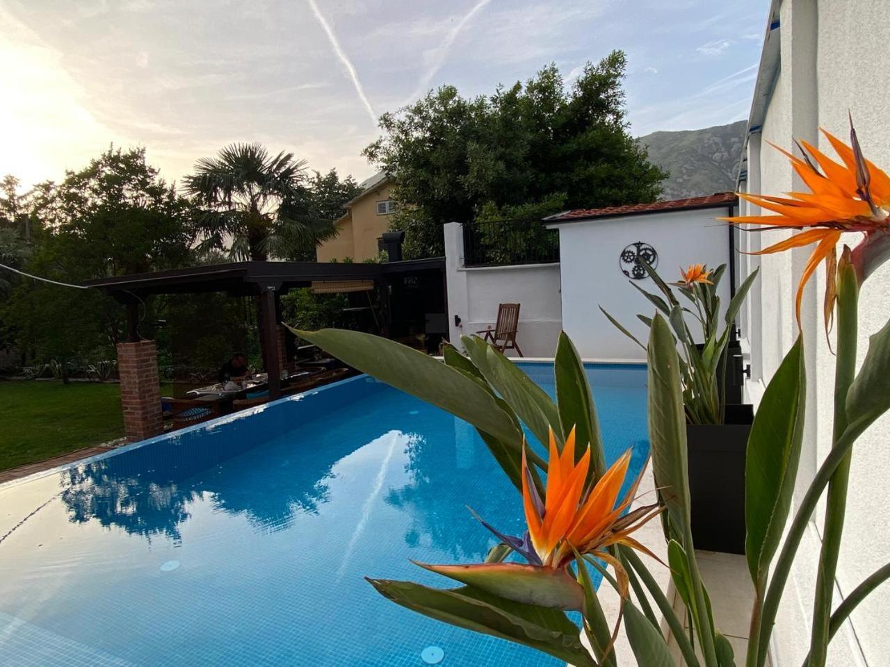 Villa Nikola Kotor Exteriér fotografie